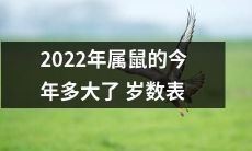 2022年属鼠的年龄查询表：了解属鼠人员在今年的具体年龄情况！