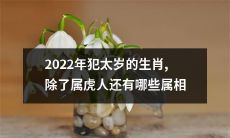 哪些生肖除了虎属人外，也将在2022年面临犯太岁的挑战？