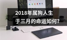 究竟属于狗的三月生人在2018年将面临怎样的命运？
