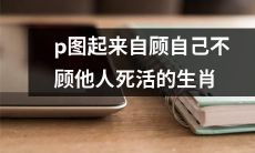 以自我为中心，无视他人安危的十二生肖在P图中的反映