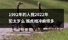 1992年出生的人，到了2022年是否会遭遇犯太岁之苦，因为猴虎相冲会引起的麻烦可能会增加？
