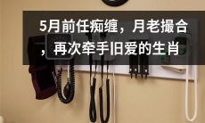 5月前任痴缠:月老倾情撮合,愉快再次牵手旧爱的十二生肖