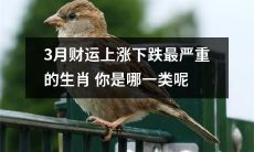 哪些生肖在3月财运上涨下跌中受到的影响最为严重？