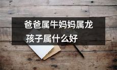 如果父亲是属牛，母亲是属龙，那么他们的孩子最适合属什么？