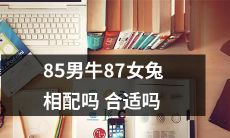 这对由85年出生的男牛和87年出生的女兔组成的姻缘是否匹配和协调呢？