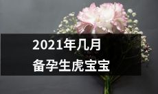 2021年几月开始备孕,将迎来一位可爱的小虎宝宝