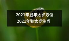 2021年太岁方位及其对应生肖-犯太岁解析
