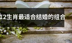 探究不同生肖之间的婚姻匹配度，推荐最适宜结婚的12生肖组合