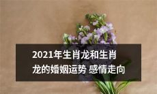 2021年生肖龙婚姻运势：揭秘生肖龙感情走向及成功婚姻的秘诀