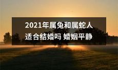 2021年属兔和属蛇人是否适合走入婚姻殿堂？婚后是否能保持安稳和谐的关系呢？