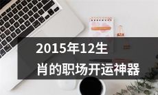 提高2015年12生肖在职场中运势的贵人、工具、技巧大全
