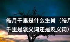 究竟皓月千里到底是哪个生肖？此表述在语境中是被赞美还是被批评？