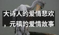 揭秘大诗人元稹的爱情经历：从悲欢离合到永恒不灭的爱情故事