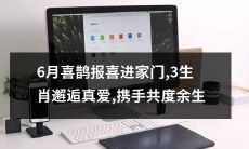 6月喜鹊带来好消息：3个生肖在此邂逅真爱，欢聚一堂携手共度余生！