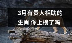 你是否也在3月得到了贵人相助的生肖名单中？