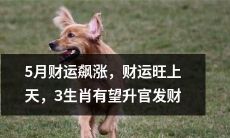 五月财运水涨船高，财源滚滚而来，三个生肖享有晋升发财的大好机会！