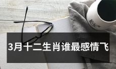 3月份的十二生肖中,哪一个最有可能在感情里获得翅膀飞翔?