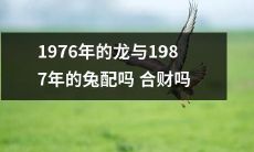 1976年出生的属龙和1987年出生的属兔能够在财富上产生合作关系吗？