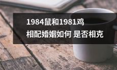 1984年出生的老鼠与1981年出生的鸡，婚姻上会出现哪些相克与相适应的情况？