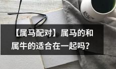 【讲述属马配对】属马能否与属牛兼容并蓄？探讨属马与属牛的星座匹配性及相处秘诀！