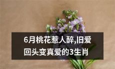6月桃花红艳引人沉醉，三只生肖在旧爱回头的转折中找到了真正的爱情