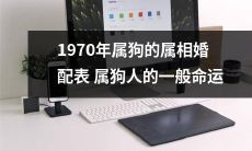 根据1970年属相婚配表推算出来的属狗人一般命运分析