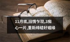 11月底重逢旧爱，三位操心之人的痴情再次燃起，共同诠释复合后重新缔结幸福婚姻的故事