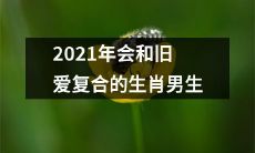 2021年逢旧爱复合，星座属相男生们的情感故事