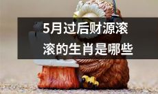 哪些生肖将在5月之后享有滚滚财源的好运？