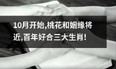 从10月开始，即将迎来桃花与姻缘，预示着百年好合的三大生肖前方华丽亮相！