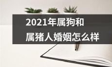 2021年属狗和属猪的人，他们的婚姻状况如何？