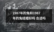 1987年出生的兔能否与另一个1987年出生的兔结婚，这种组合是否合适？