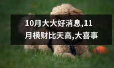 10月带来了好消息，而11月却带来比天高的横财，这确实是个大喜事！