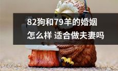 82只狗和79只羊的亲密关系：探讨它们结为夫妻是否恰当的问题