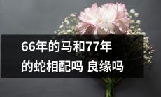 能否促成幸福姻缘？探讨66年马与77年蛇的结合适配性