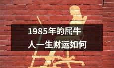 属牛人在1985年出生后的一生中，其财运究竟如何？