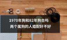 是否适合将1970年和1982年出生的两位属狗人进行婚配？