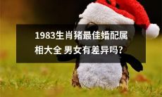 1983年生的属猪人最适宜与哪些属相的人结婚？男女之间是否存在差异？ ——一份详尽的婚配属相指南