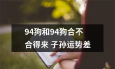 狗年生肖配对：探究94年出生的狗和94年出生的狗是否相配，以及他们的子孙运势是否会受到影响