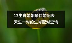 探寻生肖婚姻最佳婚配之道：详解12生肖配对表，揭示天生一对的生肖爱情配对查询