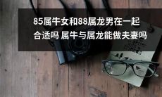 85年出生的属牛女和88年出生的属龙男是否适合成为夫妻？属牛人和属龙人能否相互匹配并建立美好的婚姻？