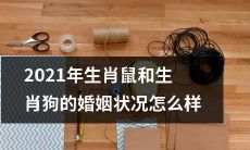 2021年生肖鼠和生肖狗的婚姻状况:趋势、挑战与前景如何发展?