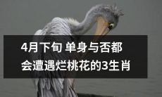 4月下旬的厄运：三个星座单身或非单身都将遭遇烂桃花劫难