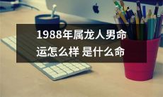 1988年属龙的男性运势如何？他是属于哪一种命格？