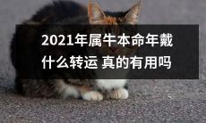 2021年是属牛本命年，戴什么样的饰品、配饰或服装能够促进运势转运效果？这种方式真的能够起作用？