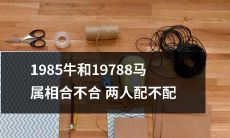 1985年出生的牛与1978年出生的马属相之间是否完美匹配，他们是否能够在情感上最终配对成功？