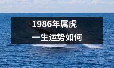 1986年出生的属虎人的整体运势以及事业、财运、感情、健康、人际关系等方面的详细预测