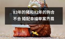 猪年出生的83年生肖猪和狗年出生的82年生肖狗,能否通过婚配实现幸福?齐声举案期待佳音传来!