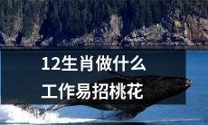探究12个生肖适合从事哪些职业并容易吸引异性缘的工作环境
