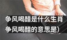 十二生肖中，哪个生肖容易争风喝醋？（争风喝醋的含义为）